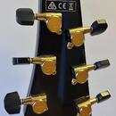 Ibanez PS40 upgrade