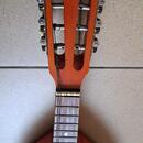 Mandolína 8 strun