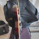 Prodam el.kytaru Gretsch Tenneessee Rose