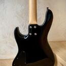 Sadowsky WL4