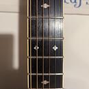 Aria G 300 