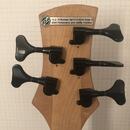 AV Basses (Vychodil) 5-strunný custom PB bezpražec Primus