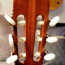 OSTERTAG Masterbuild 7/8 Classic Guitar (Made in Germany)