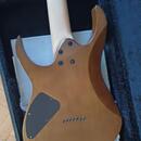 IBANEZ RG7421 7 strunka