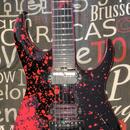 SCHECTER Sullivan King Banshee-6 FR