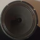 TRAYNOR Yorkville 15"