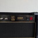 Eden E300T