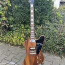 Firebird Style Custom – RM Pickups, exotické dřevo