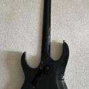 Ibanez mtm2 