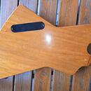 GIBSON Explorer, USA 2021.