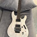 Ibanez PWM20 Paul Waggoner Signature (White)