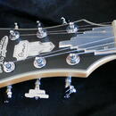 D'Angelico Premier Brighton Sherwood Green