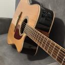 Takamine GD93CE-NAT