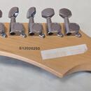 Washburn RX10