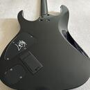 Ibanez mtm2 