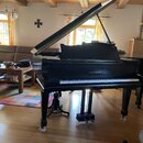 Černý křídlový klavír s otevřeným víkem umístěný v interiéru na dřevěné podlaze. Na přední části nad klávesnicí je bílý nápis AUGUST FÖRSTER. Nástroj…