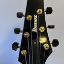 Ibanez PS40 upgrade