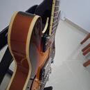 Epiphone ES-339