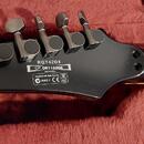 Ibanez rgt 42,Korea, Top stav