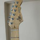 G&L Legacy HSS