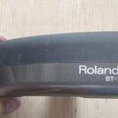 Roland BT-1.