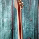Ibanez Iron Label Trasparent Grey 7 string