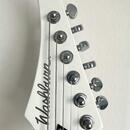 Washburn PX-Solar 160WHM 