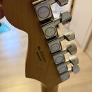 Fender player stratocaster HSS