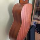 Taylor GS Mini-e Caramel Burst + originální Gig Bag 