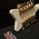 Gretsch G5022CWFE-12 Falcon Rancher + GATOR Case