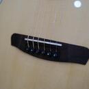 Dowina Master Series Indian Rosewood Selection DLX OMG