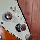 James Tyler Variax JTV-69