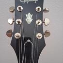 Epiphone ES-339