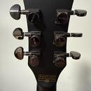 Schecter BlackJack ATX Solo-II ABS 2014