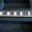 D'Angelico Premier Brighton Sherwood Green