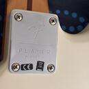 Fender Stratocaster player Mexico