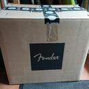 Fender Vibro Champ