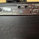 Boss Acoustic Singer Pro
