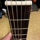 Angel Lopez EC3000- piezo+ humbucker