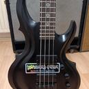 ESP LTD TA-204 FRX