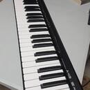 Roland A-49