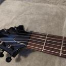 Elektrická kytara ESP LTD FRX-401 Black