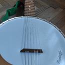 Banjo Mustang