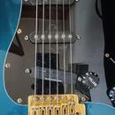 FERNANDES  Stratocaster Japan 