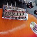 Tokai Silver Star
