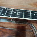 Bluegrassové banjo Čapek