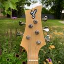 F bass BN5