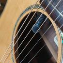 Takamine TAN 16C
