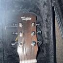 Taylor bt-1e