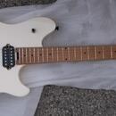 EVH Wolfgang Standard D Tuna